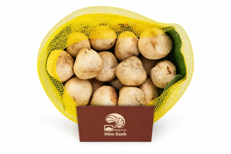 Nấm Rơm Tươi (Búp)