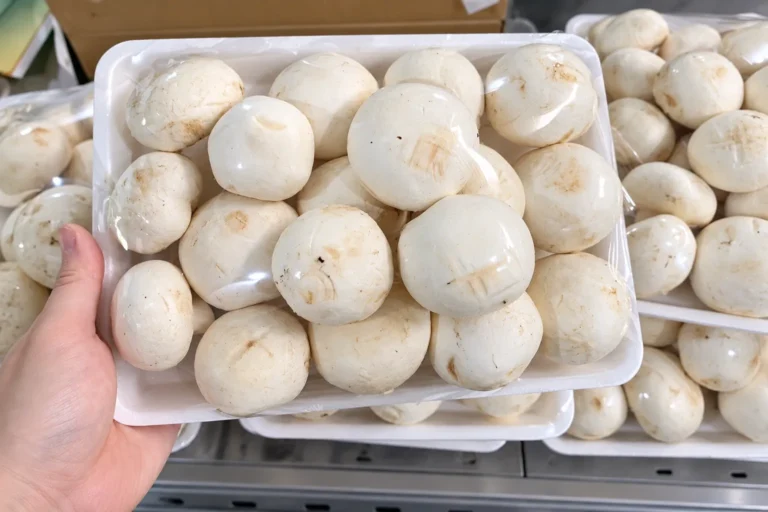 Nấm Mỡ Trắng Tươi Nấm Mỡ Trắng Tươi